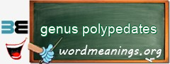 WordMeaning blackboard for genus polypedates